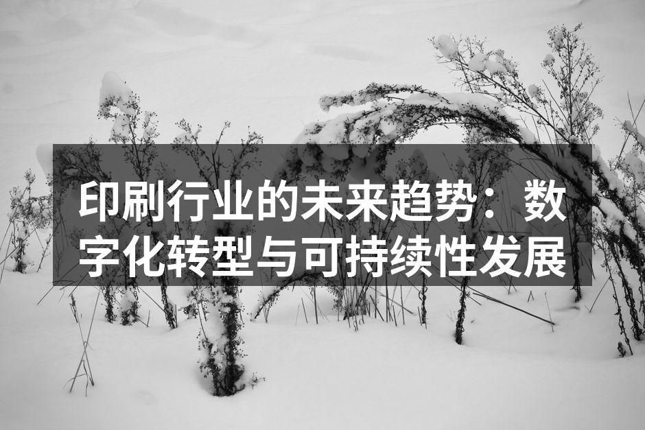 数字印刷技术助力个性化服务